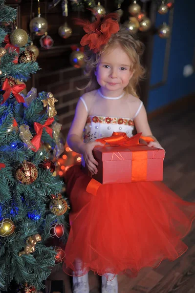 Cute Little Girl Christmas Tree Red Elegant Dress Box Gifts — Stock Photo, Image