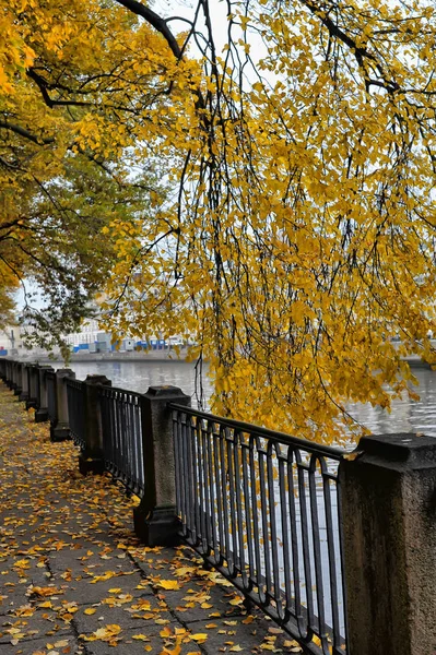 Russie Saint Pétersbourg 2013 Embankment Automne Rivière Fontaine Jardin Été — Photo