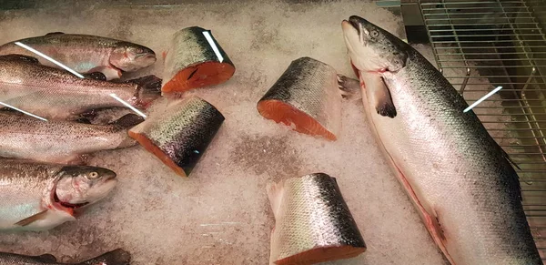 俄罗斯 圣彼得堡 2018 新鲜鱼类三文鱼在超市 — 图库照片