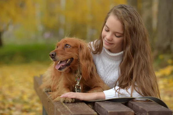 Menina Feliz Parque Com Spaniel Outono — Fotografia de Stock