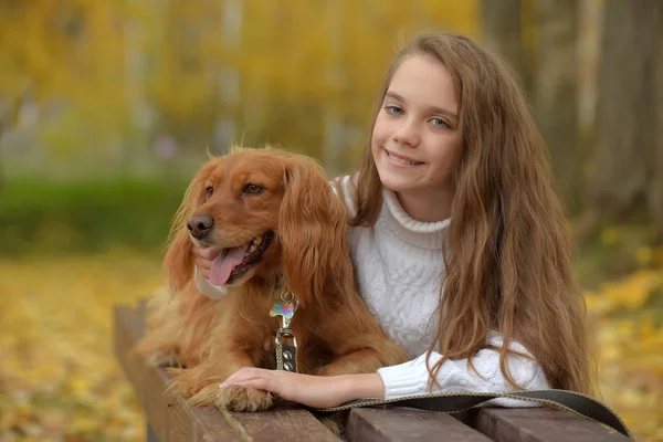 秋のスパニエルと公園で幸せな女の子 — ストック写真