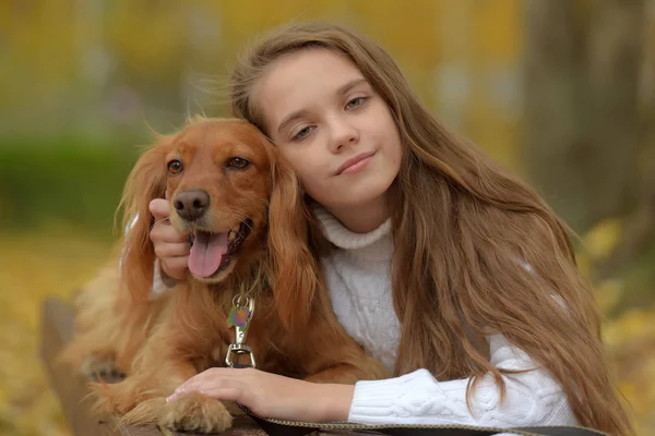 Ragazza Felice Nel Parco Con Uno Spaniel Autunno — Foto Stock