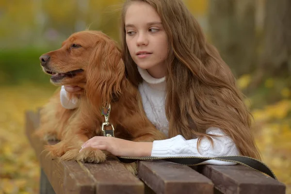 Heureuse Fille Dans Parc Avec Épagneul Automne — Photo