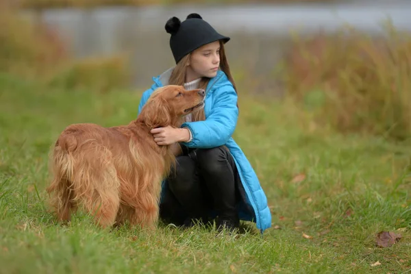 Menina Feliz Parque Com Spaniel Outono Junto Lago — Fotografia de Stock