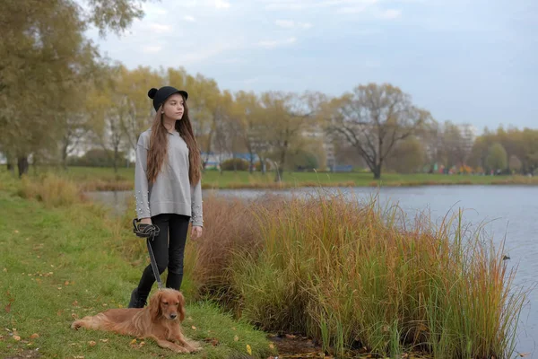 Chica Feliz Parque Con Spaniel Otoño Junto Lago — Foto de Stock