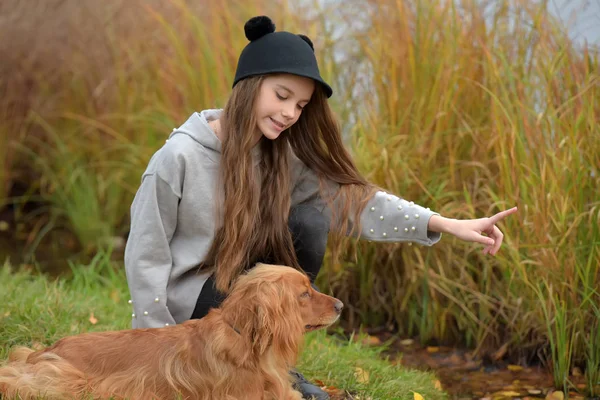 湖で秋のスパニエルと公園で幸せな女の子 — ストック写真