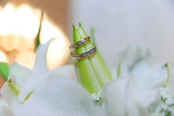 带结婚戒指的百合花 — 图库照片