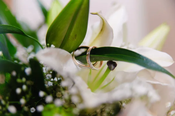Lilies Wedding Rings — Stock Photo, Image