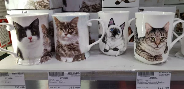 Rússia São Petersburgo 2018 Copos Com Gatos Loja — Fotografia de Stock