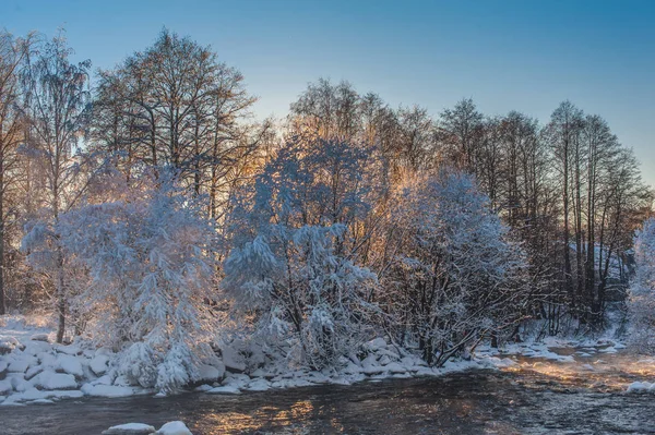 Fiume Grezzo Inverno Con Alberi Innevati Vapore Sopra Acqua — Foto Stock