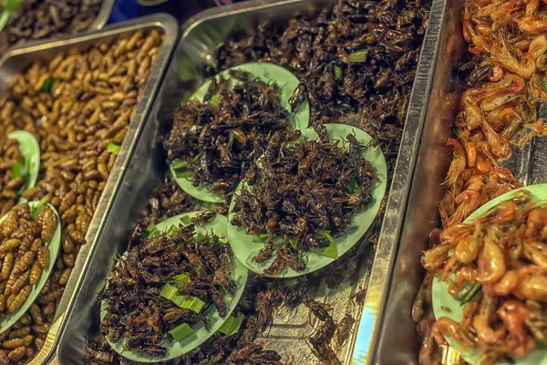 Cucarachas Fritas Comida Tailandesa Exótica — Foto de Stock