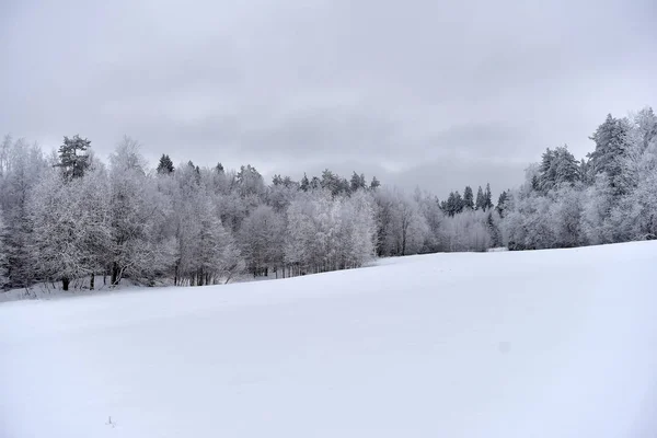 Paisagem Campo Inverno Com Árvores Geladas — Fotografia de Stock