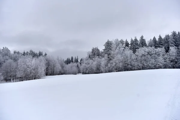 Verschneite Und Frostige Landschaft Wald Bei Frost — Stockfoto