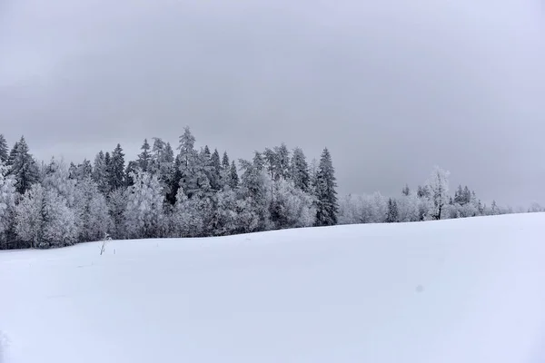 Winterlandschaft Mit Den Frostigen Bäumen — Stockfoto