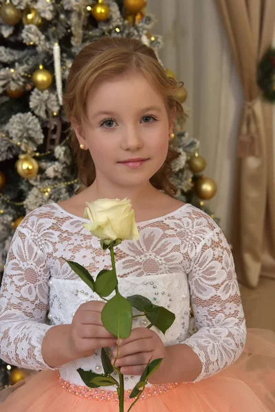 Блондинка Шикарном Белом Персиковом Платье Рождество Белой Розой Руках — стоковое фото