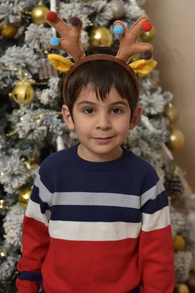 Little Boy Sweater Christmas Tree Deer Horns — Stock Photo, Image