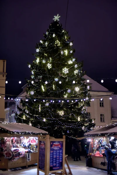 Estonia Tallinn 2014 Christmas Tree Christmas Fair Central Square Tallinn — Stock Photo, Image