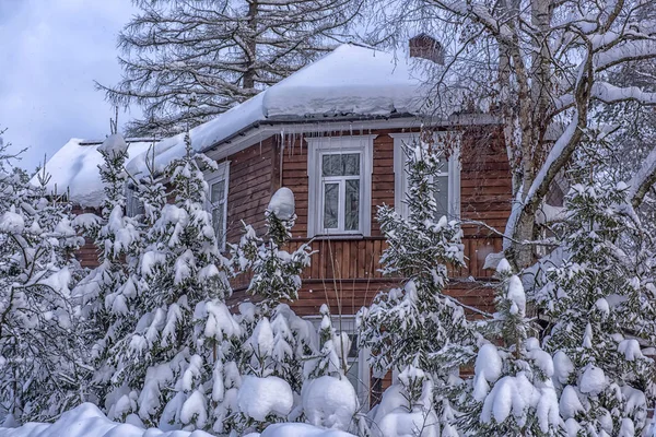 Ahşap Yazlık Karlı Kış Kar Yağışı Önündeki Ağaçlarda — Stok fotoğraf