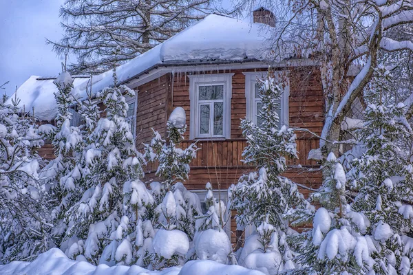 Wooden Cottage Snowy Winter Trees Snowfall Front — Stock Photo, Image