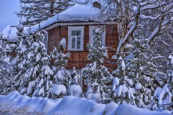 Wooden Cottage Snowy Winter Trees Snowfall Front — Stock Photo, Image