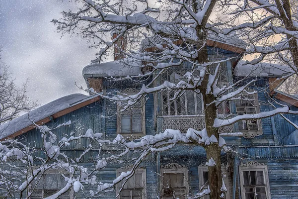 Синій Дерев Яний Сніговий Покритий Будинок Дерева Снігопаді — стокове фото