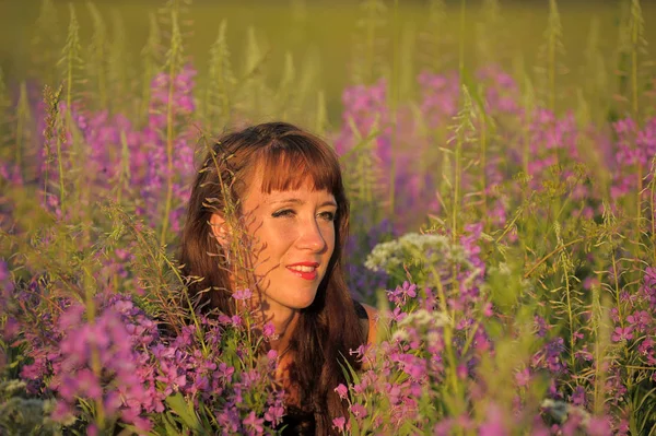 Žena Poli Květy Epilbium Angustifolium Létě — Stock fotografie