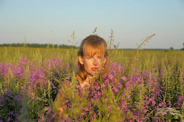 Kvinna Ett Fält Med Blommor Epilbium Angustifolium Sommar — Stockfoto