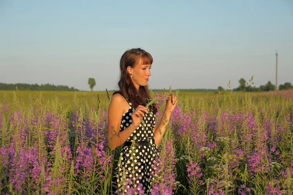 Mulher Campo Com Flores Epilbium Angustifolium Verão — Fotografia de Stock