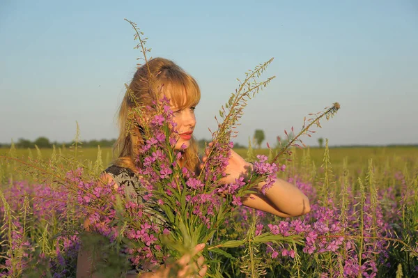 Kvinna Ett Fält Med Blommor Epilbium Angustifolium Sommar — Stockfoto