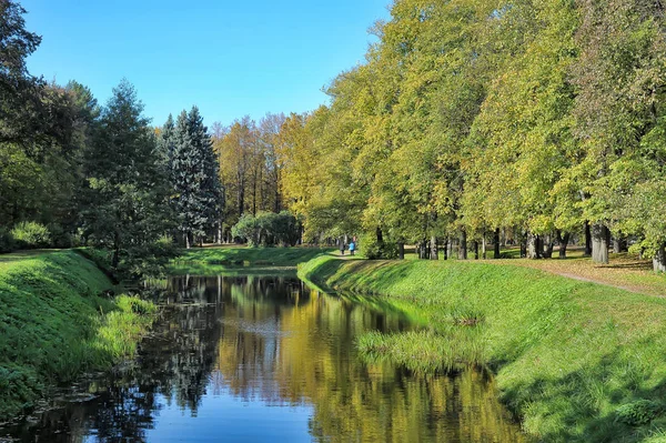 Piccolo Canale Nel Parco Alberi Lungo Riva — Foto Stock