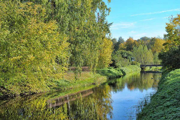 Petit Canal Dans Parc Des Arbres Long Rivage — Photo