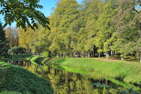 Piccolo Canale Nel Parco Alberi Lungo Riva — Foto Stock