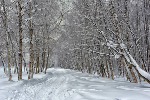 Estrada Inverno Coberta Neve Através Uma Floresta — Fotografia de Stock