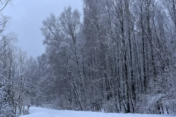 Zimní Silnice Pokryta Sněhem Lesem — Stock fotografie