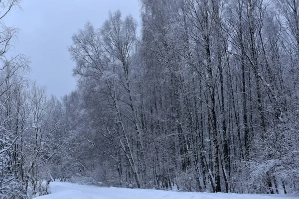 冬天的路被雪覆盖在森林里 — 图库照片