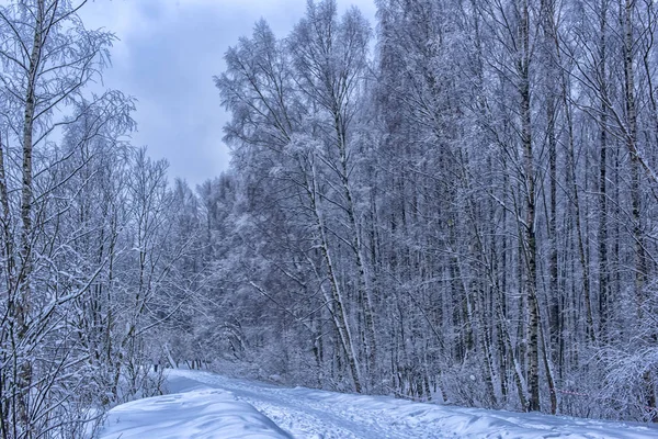 Camino Invierno Cubierto Nieve Través Bosque —  Fotos de Stock