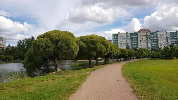 Russland Petersburg 2018 Getrimmte Bäume Und Gassen Einem Seepark Sommer — Stockfoto