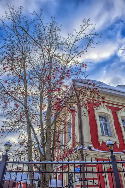 Red old house and rowan trees near winter — Stock Photo, Image