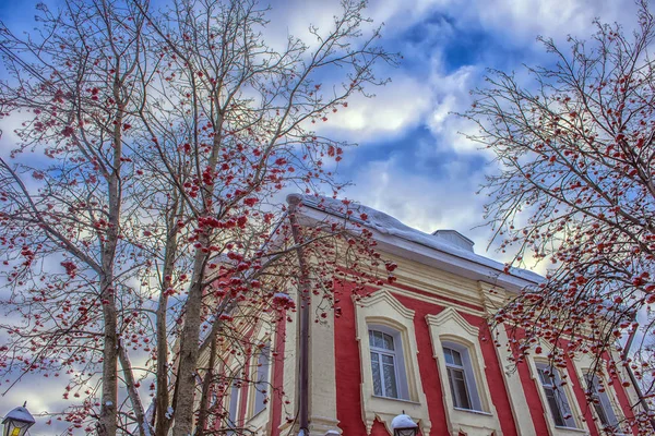 Casa velha vermelha e árvores rowan perto do inverno — Fotografia de Stock