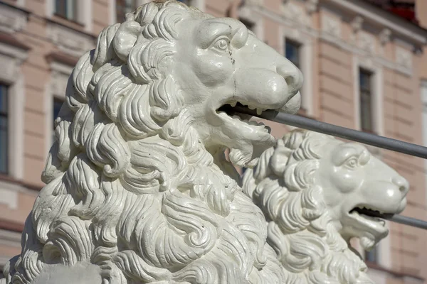 A Ponte Leão em São Petersburgo. Leões de ferro branco da ponte — Fotografia de Stock