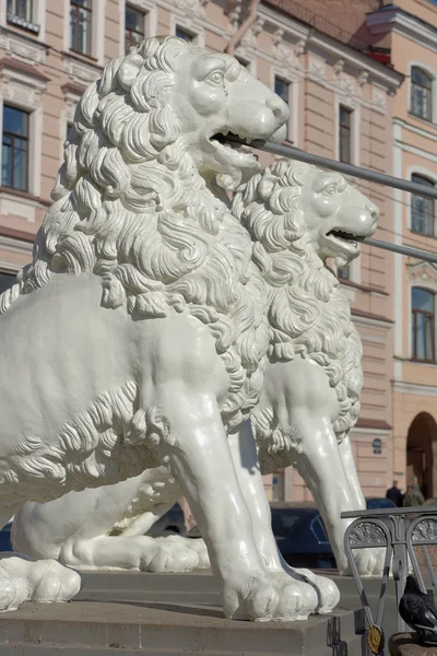 El Puente León en San Petersburgo. Leones de hierro blanco del puente —  Fotos de Stock