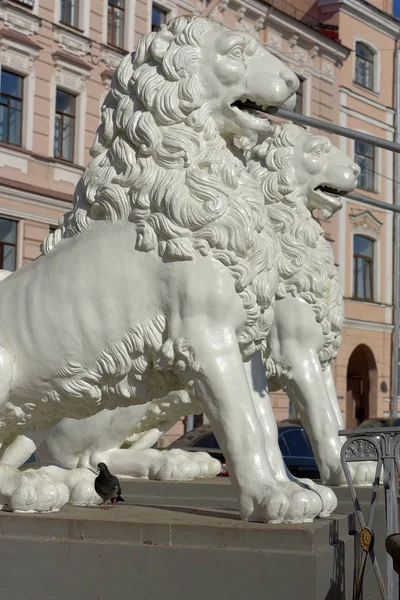 Le pont du Lion à Saint-Pétersbourg. Lions de fer blanc du pont — Photo