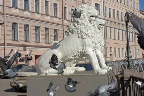 Palomas vuelan alrededor de la cabeza de la escultura del león en el puente del león — Foto de Stock