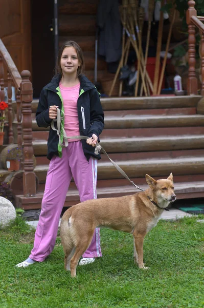 小女孩与一只红狗哈斯基 — 图库照片