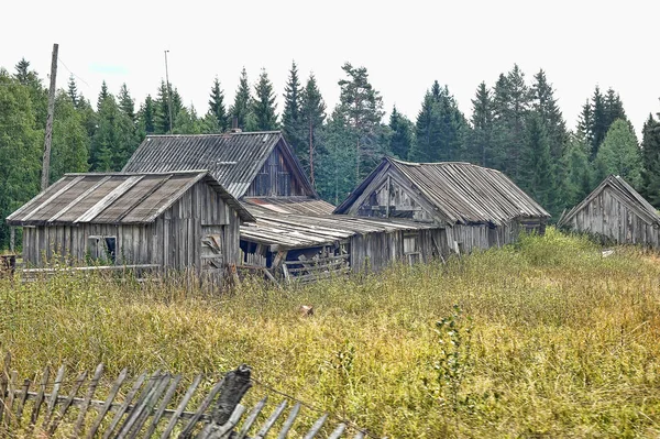 Дерев'яні будинки в російському селі влітку — стокове фото