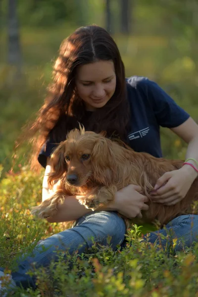 Köpek spaniel ile ormanda kız — Stok fotoğraf