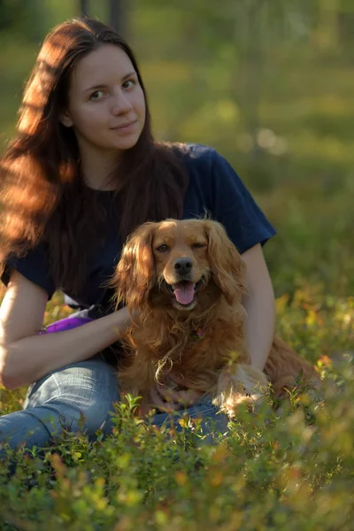 Dívka v lese s psí kokršpaněl — Stock fotografie