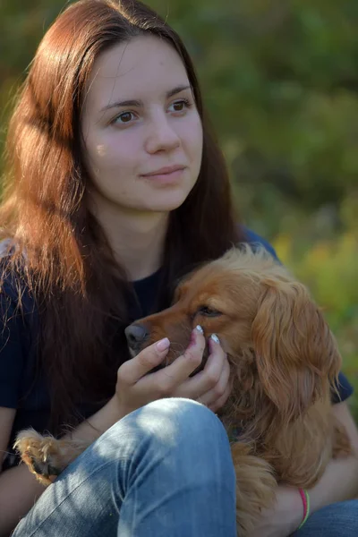 Girl in forest with dog spaniel — Stock Photo, Image