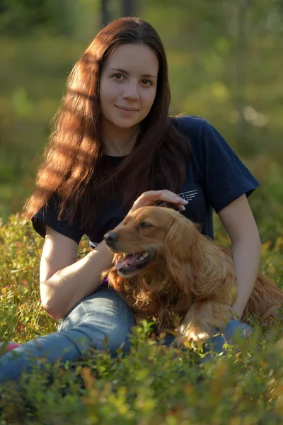 Girl in forest with dog spaniel — Stock Photo, Image