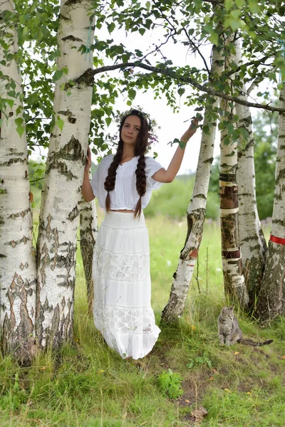Sweet Russian girl girl in a white birch in the summer, with a w — Stock Photo, Image
